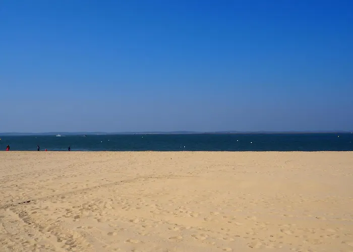 Вілла Arcachonnaise 100m², 3 Chambres, Jardin, Terrasse, Parking - Quartier D'hiver, - Fr-1-474-47